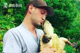 男子拿乌龟当宠物玩儿欲亲吻反被咬 网友：愚蠢图片