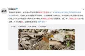 “龙叫”？“虎叫”？真相来了！贵州威宁不明声源产生原因初步认定图片