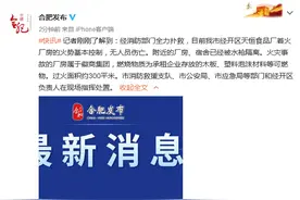 合肥食品厂着火厂房的火势基本控制，无人员伤亡，过火面积约300平米图片