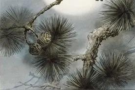「生物多样性百科」脊椎动物•蓝歌鸲：我是“情歌王子”，也能精通多种鸟语图片
