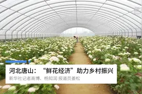 河北唐山：“鲜花经济”助力乡村振兴视频封面