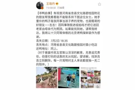 女星王珞丹凌晨发布寻鸭启事！承诺以十只烤鸭作为感谢，结果……图片