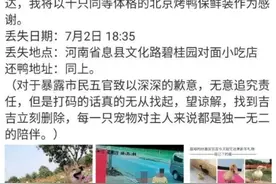 女星凌晨发布寻鸭启事，丢失的宠物鸭已被吃掉...警方回应图片