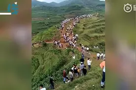 杜撰出来的“龙叫”，为何还是吼不醒有些人图片