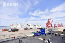 海南：首次“零关税”进口澳洲活牛抵达马村港图片