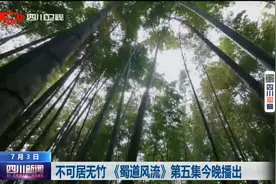 四川新闻 | 不可居无竹《蜀道风流》第五集今晚播出图片