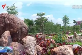 佛山：紫南村产业转型 走出文旅可持续发展之路视频封面