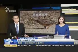 贵州：山中发出“龙吟”？  专家——初步判断为鸟类发出视频封面