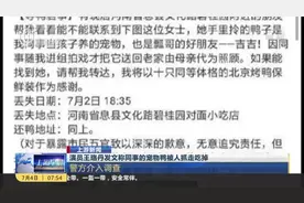 上游新闻：演员王珞丹发文称同事的宠物鸭被人抓走吃掉——警方介入调查视频封面