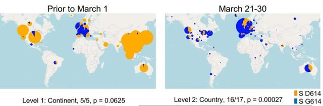 世卫组织：尚无证据表明D614G突变会导致更严重的病情