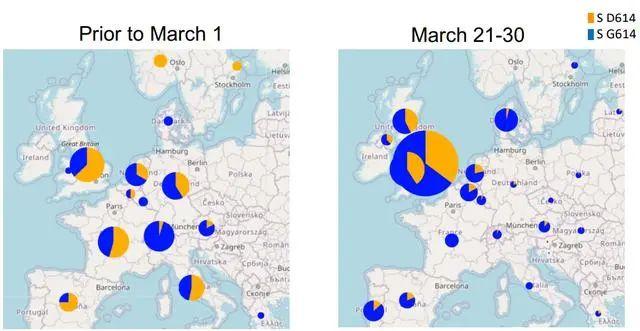 世卫组织：尚无证据表明D614G突变会导致更严重的病情