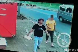 演员王珞丹发文称同事的宠物鸭被人抓走吃掉，警方介入调查图片
