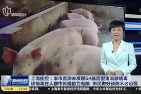 上海疾控：本市监测未发现G4基因型猪流感病毒  该病毒在人群中传播能力有限 市民做好预防不必恐慌视频封面