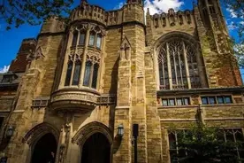 夜读丨从耶鲁大学毕业的猫图片