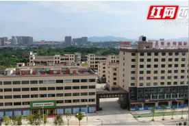 祁阳：扶贫商城让农副产品进城“闯”市场图片