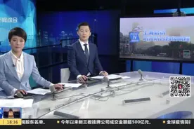 上海发布雷电暴雨双预警  防汛防台四级响应启动视频封面