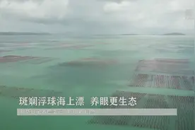 斑斓浮球海上漂 养眼更生态视频封面