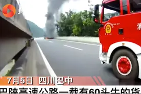 银昆高速南江段运牛货车起火 多头牛被烧死视频封面