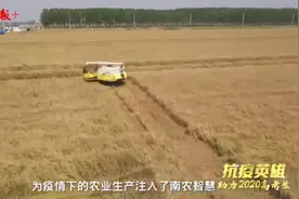 抗疫英雄助力高考生 | 南农大农学院院长朱艳：祝愿你们超常发挥，梦想成真图片