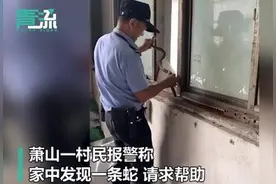 蛇钻进窗台缝民警跳“蛇舞”擒拿，网友：大侠，请受我一拜图片