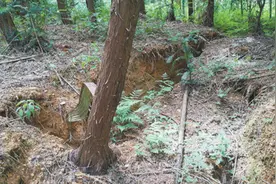 怎样解决煤矿开采对村民生产生活带来的影响（来信调查）图片