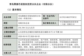“意念”涨停？13只中芯国际影子股名单来了！其中3只流通盘不到50亿元图片