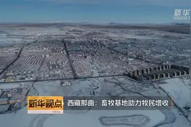 西藏那曲：畜牧基地助力牧民增收视频封面