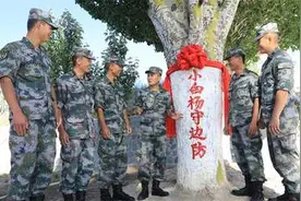 遇见“小白杨”，遇见一种生命力图片