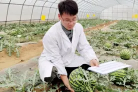 应对雨季，蔬菜专家为菜农支招图片