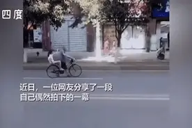 孙女坐自行车后座为爷爷扇风，这一幕看哭网友图片