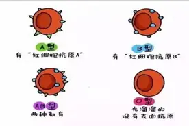 怀化市肿瘤医院·健康科普｜解开血型遗传之谜图片
