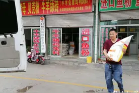 深度调查｜饲料“无抗时代”来了，山东企业准备好了吗？图片
