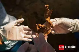中国首支空降兵牺牲者埋骨湖南75年 成都籍战士周剑敌，你的亲人在哪里？图片