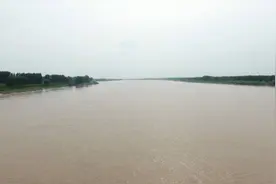 再现“以身试险”！济南“黄河阻泳第一人”再下水试陡滩 还原水下险情图片