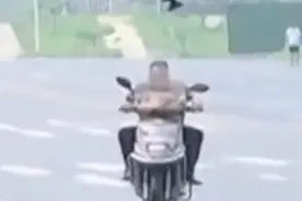郑州街头现愤怒的小鸟 为何只啄黑衣男子？图片