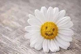 邯郸V音 | 热爱生命图片