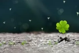 高考加油！最高标准、最严举措，守护每位考生的梦想图片