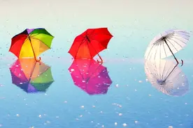 每天“乘风破浪”“祛湿”王牌知多少图片