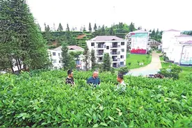 迁出一个 世外桃源——易地扶贫搬迁的“桃源答卷”图片