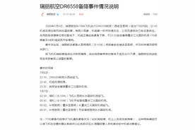 瑞丽航空回应航班备降重庆：前风挡加温故障 全体乘客平安落地图片