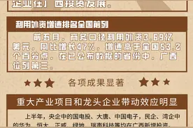 “三企入桂”引领广西招商引资逆势上扬图片