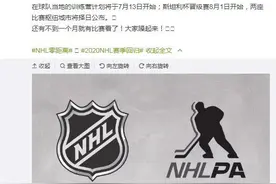 NHL赛事将于8月回归 比赛枢纽城市尚未公布图片