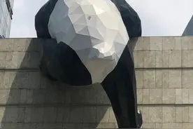 春熙路那只熊猫屁股掉漆了...网友出动了！哈哈哈哈哈哈图片