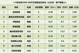 润泽御府问鼎北京上半年5000万+别墅销冠图片