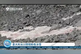 奇异现象！意大利冰川惊现粉色冰雪，“罪魁祸首”是它！视频封面