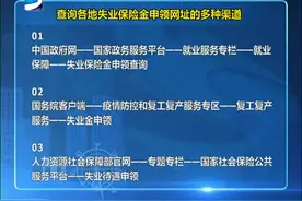 查询各地失业保险金申领网址的多种渠道视频封面