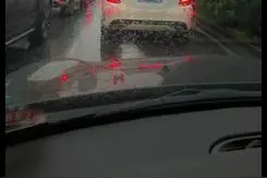 直击上海高考，旗袍向日葵“傍身”花样送考图片