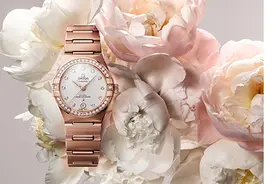 久等了各位，海南免税城买表攻略来啦图片