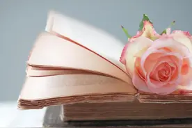 上游•夜雨丨我写高考作文（全国三卷）丨给高一学弟学妹的一封信——同气连枝，共盼春来 - 冯琳图片