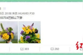 巴郎山上采了一束漂亮的花 数百网友喝止：住手！那是西藏杓兰图片